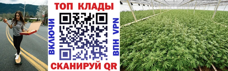 Где купить наркоту Ачинск Псилоцибиновые грибы ГАШИШ Вейп ТГК АМФ КОКАИН