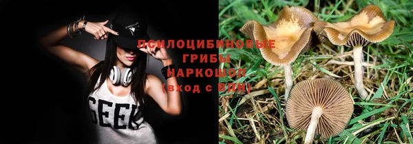каннабис Нефтекумск