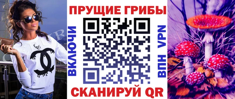 Галлюциногенные грибы Cubensis  как найти закладки  Ачинск 