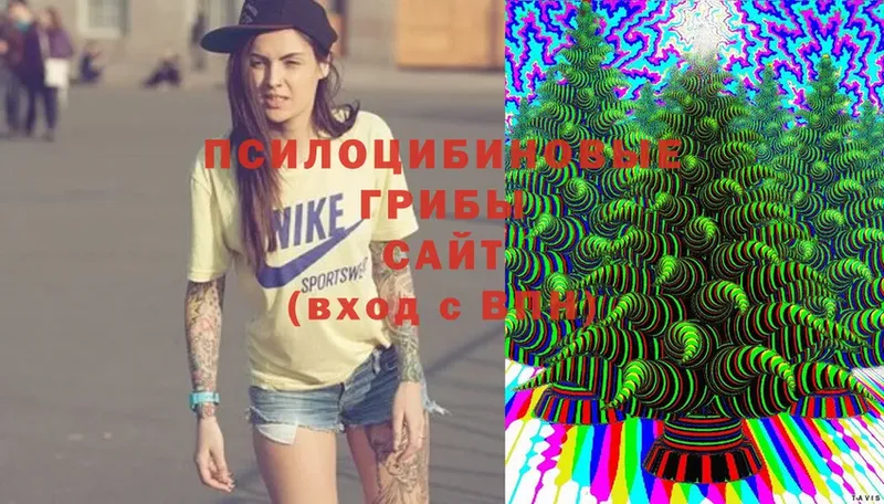 Галлюциногенные грибы Psilocybine cubensis Ачинск