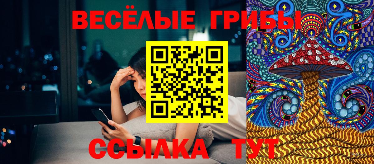 Галлюциногенные грибы Cubensis  Ачинск 